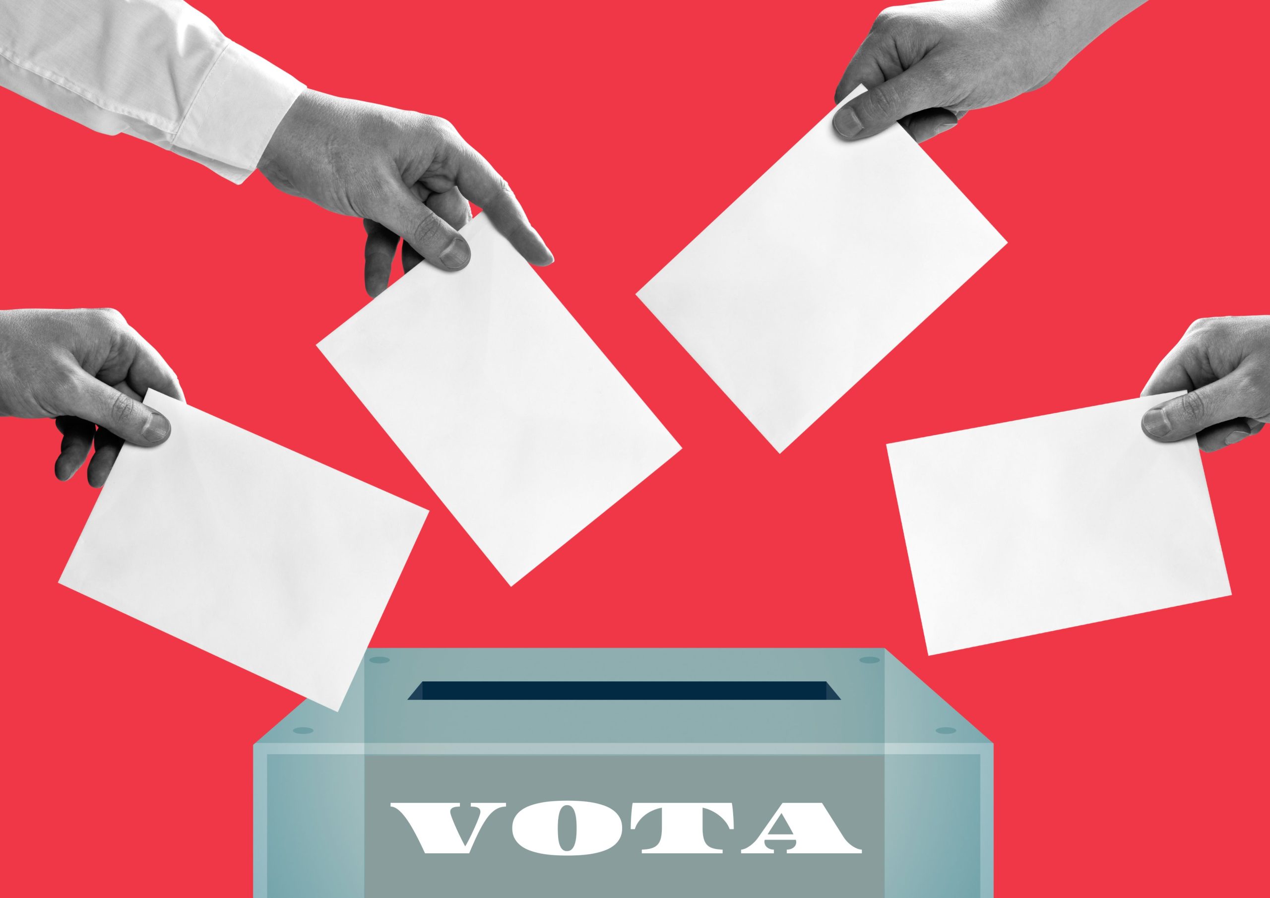 elecciones 2024 encuesta